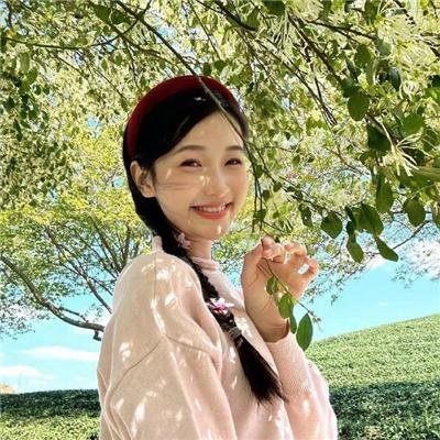 完美伴侣