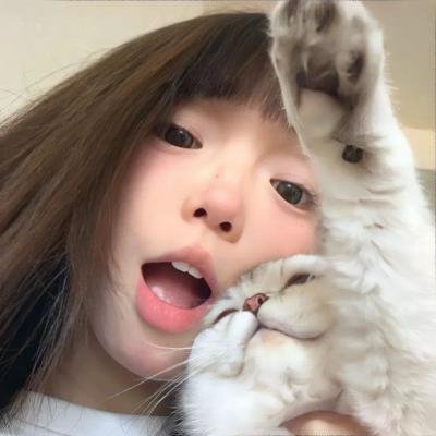 鲨与鲸